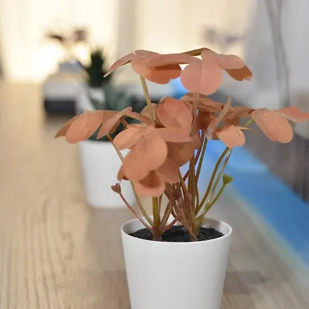 Bryson Gigantes Lejlighed *